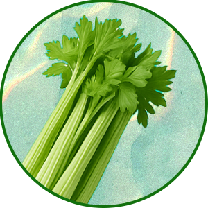 Apio