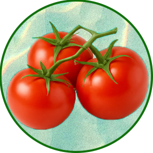 Tomate